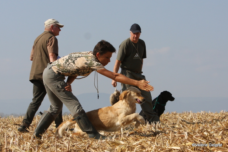 Field Erstein 09 (173).JPG